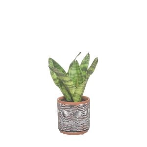 PLANTA ARTIFICIAL SANSEVIERIA 43488