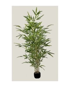 PLANTA BAMBU 180CM 2361900000001