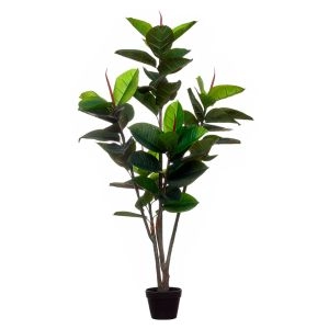 PLANTA 43383 RUBBER TREE 57 LVS 15