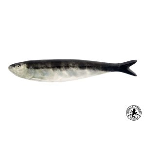 SARDINHA BORDALLO 65018964 BORDALLO PINHEIRO