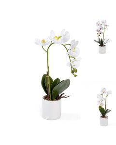 ORQUIDEA EM VASO 45CM 127031120