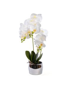 ORQUIDEA EM VASO 45CM 127031121