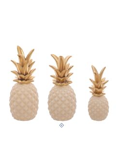 ANANAS 28737