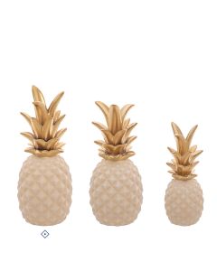 ANANAS 28736