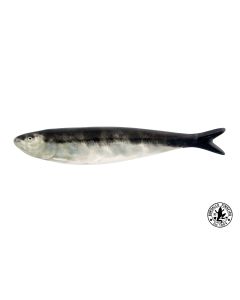 SARDINHA BORDALLO 65018964 BORDALLO PINHEIRO